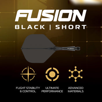 winmau-exion-switch-point-parallel-fl-chettes-pointe-acier-noir-or image 6