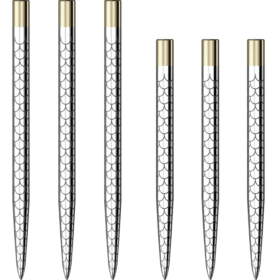 mission-laser-plus-pointes-acier-de-rechange-steel-tip-mosa-que-ventail-argent-3 image 1