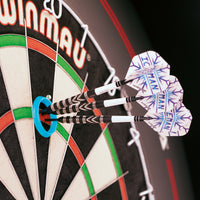 red-dragon-darts-gerwyn-iceman-price-practice-rings-anneaux-d-entra-nement image 2